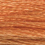 Mouliné Spécial Embroidery Thread - Oranges