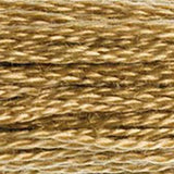 Mouliné Spécial Embroidery Thread - Brown