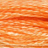 Mouliné Spécial Embroidery Thread - Oranges