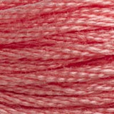 Mouliné Spécial Embroidery Thread - Pinks