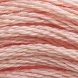 Mouliné Spécial Embroidery Thread - Brown