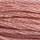 Mouliné Spécial Embroidery Thread - Pinks
