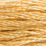 Mouliné Spécial Embroidery Thread - Brown