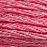 Mouliné Spécial Embroidery Thread - Pinks