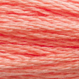 Mouliné Spécial Embroidery Thread - Pinks